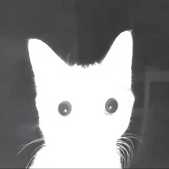 Unidentified Narrator