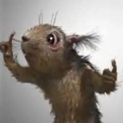 @squirrel_kush