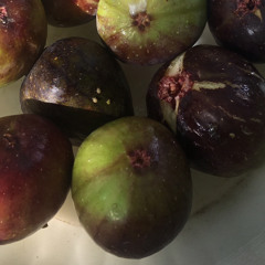 figs