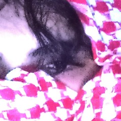 thirteenthapostle444