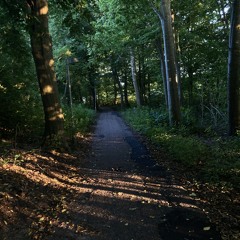 .✰🐾𝓉𝒽ℯ𝓇𝒾𝒶𝓃 ℊ𝒾𝓇𝓁🐾✰. 🔋/🌙/🛌/🕳️