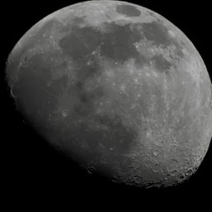 LIL FUCKTARD (S373N)