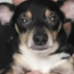 sillyyyguy