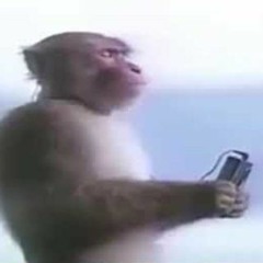 gaboneta