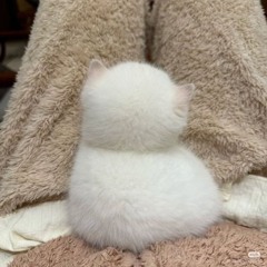 unnamed royal 17 demo5