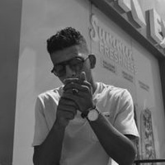 Anas Falcon