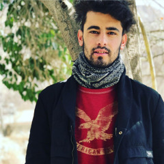 kashgar e mel burushaski bazam