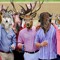 STAGS