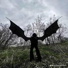 Бомбовози Гамновози