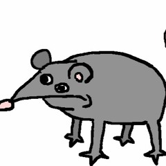 Rat