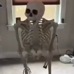 JunkieSkeleton