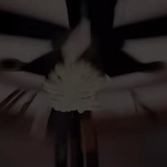 wockstxrr
