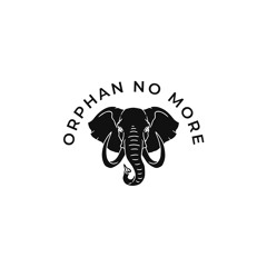 Orphan No More Co