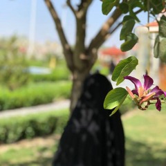 إِيـمـان
