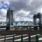 JDinNYC