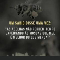 furacão