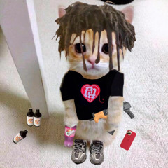 pluggz