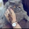 sanam