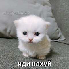 аящо