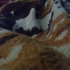 Roseneire de lourdes siva