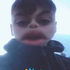 elmarco