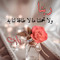 ربي زدني علماً
