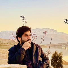 M Hassni 1