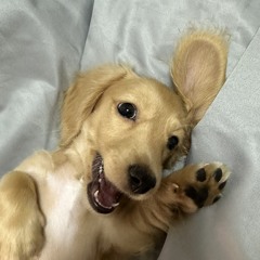 关你屁事