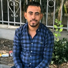بوب