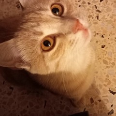 Lara