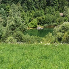 hamptidampti