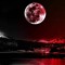 Rote Wanderer