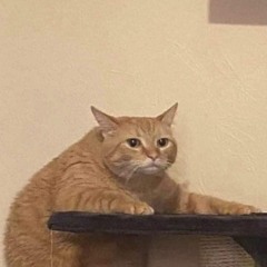 Mẫn