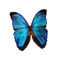 mo5112on