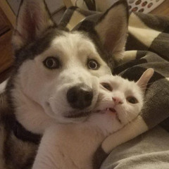 humanerrorrrrrrrr👽