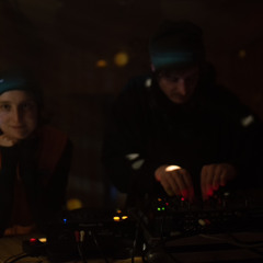 Dikarya & Edaphi