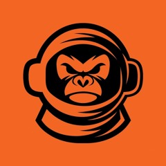 Space Monkey Records 📀