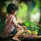 Uzams Sheraz