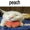 puddest