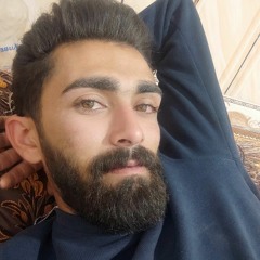 Aref1998