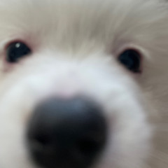 멍