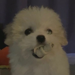 ♥