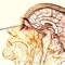 Lobotomy