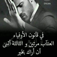 Amr Elshalakany