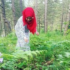 Merve Baş Baydar