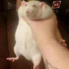 BigStinki