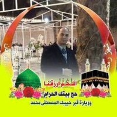 محمد عماره