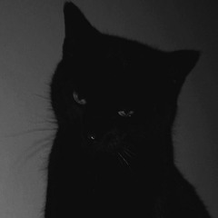 vampkitten