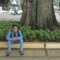 reynal