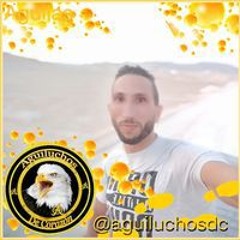 محمد حسن السويسي